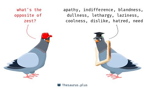 ZEST in Thesaurus: 1000+ Synonyms & Antonyms for ZEST.